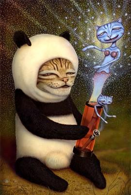 File:Stonercat.jpg